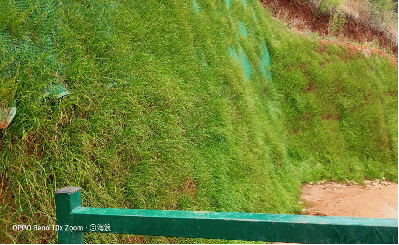 大理雙廊、挖色片區(qū)尾水塘庫一期整治工程
